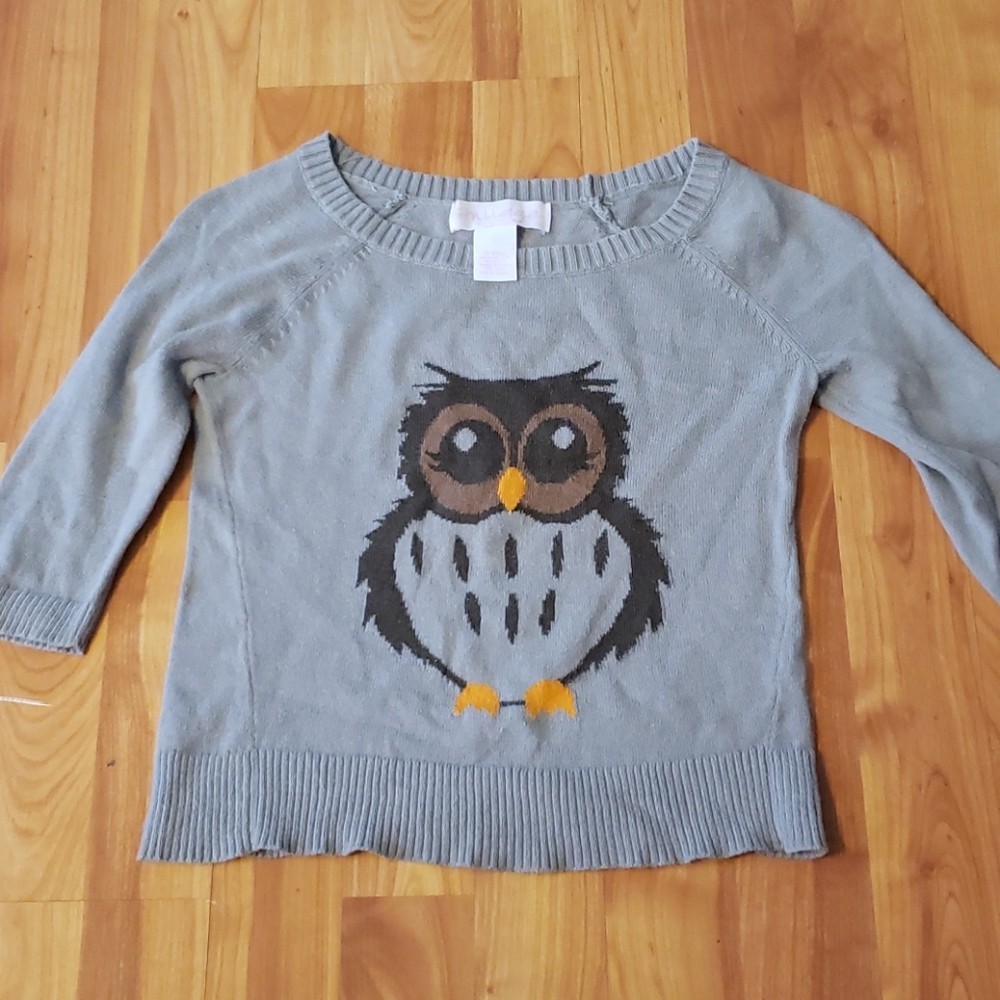 Owl Sweater
